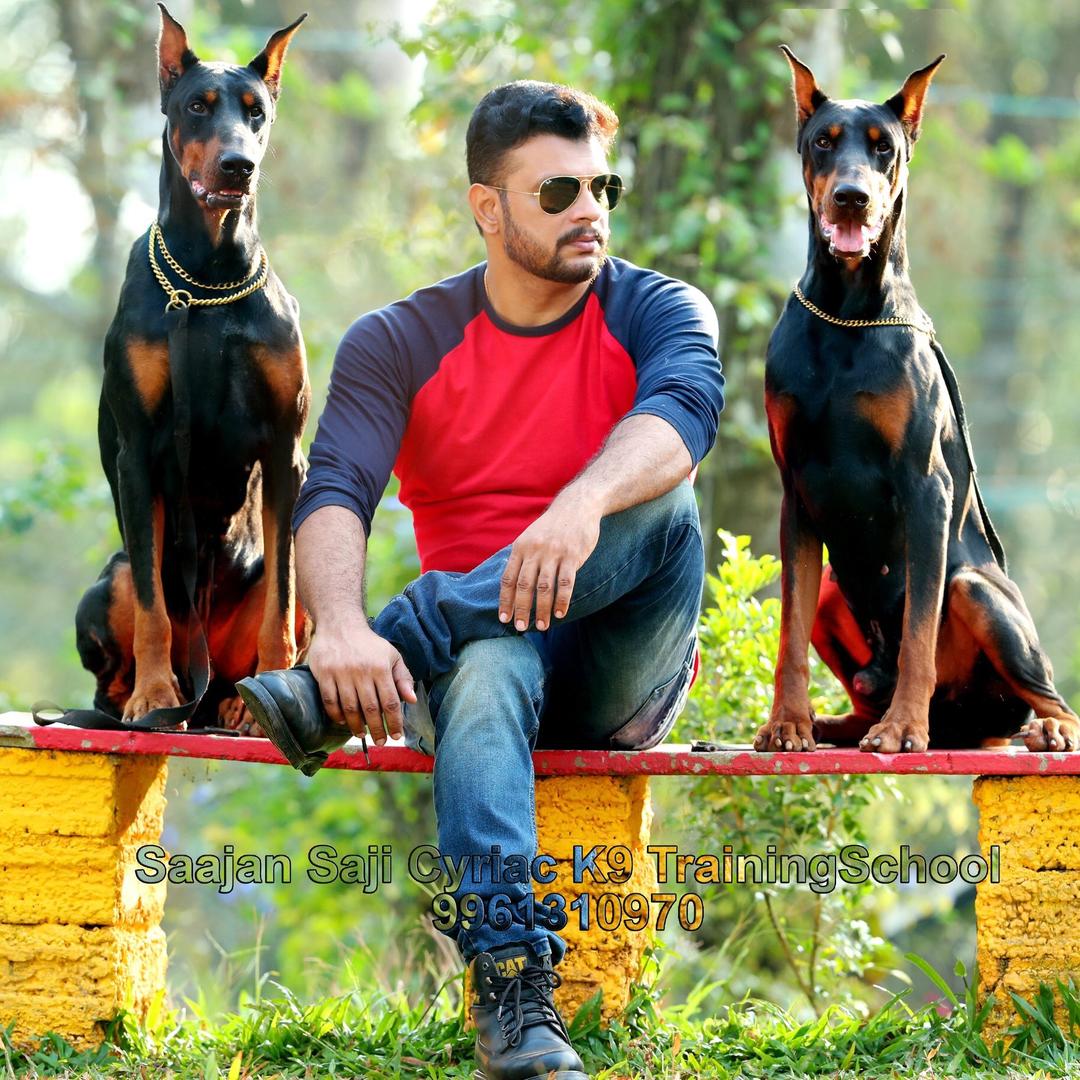 sajan saji cyriac dog training