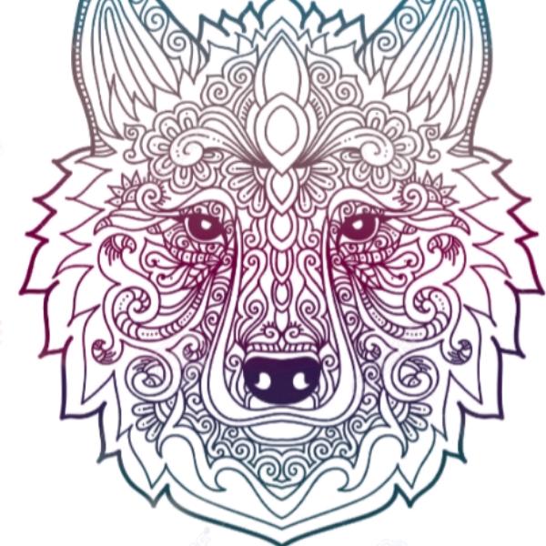 30+ Tiktok Profilbilder Background