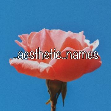 Aesthetic Names Active Or Not Tiktok Profile