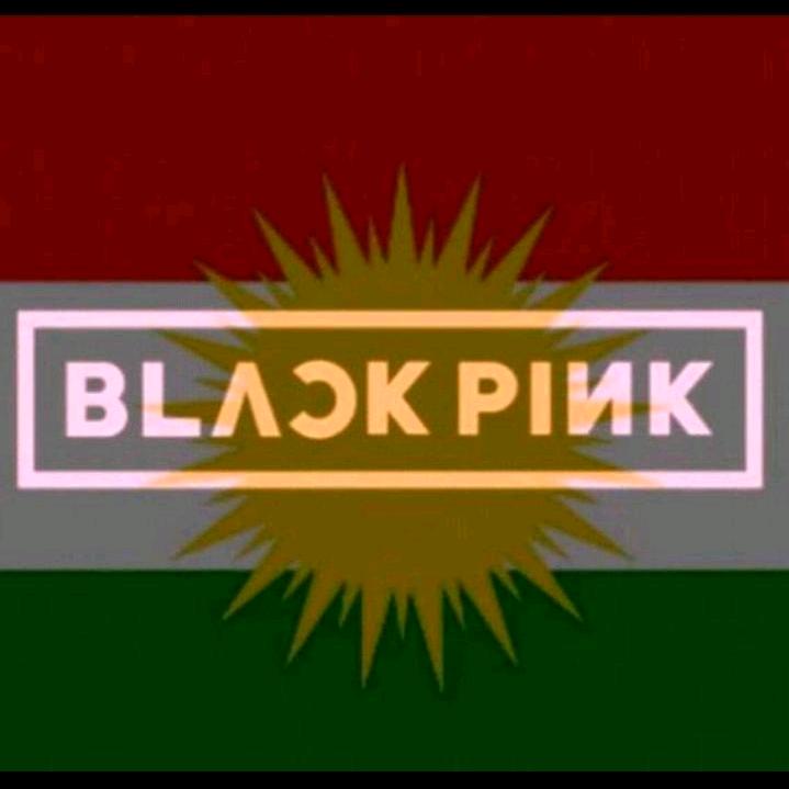 38+ Blackpink Logo Profile Picture Background