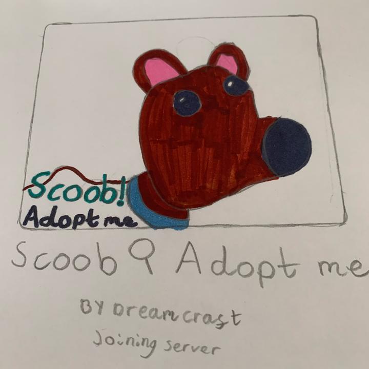 Adopt Me Bear Drawing