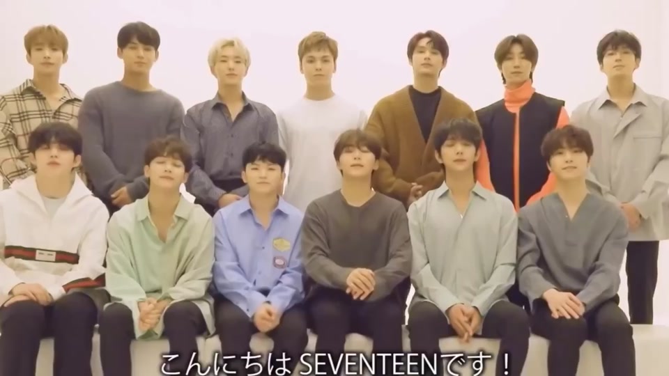 Seventeenとcaratの夢 Tiktok Hashtag