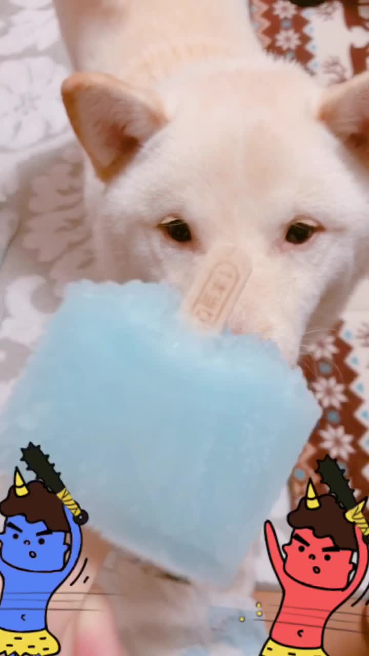 ガリガリ君 Tiktok Hashtag Page 2
