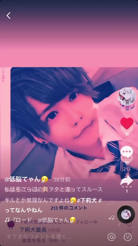 Geriinukyousinja 下痢犬教信者りんごろう Tiktok Profile