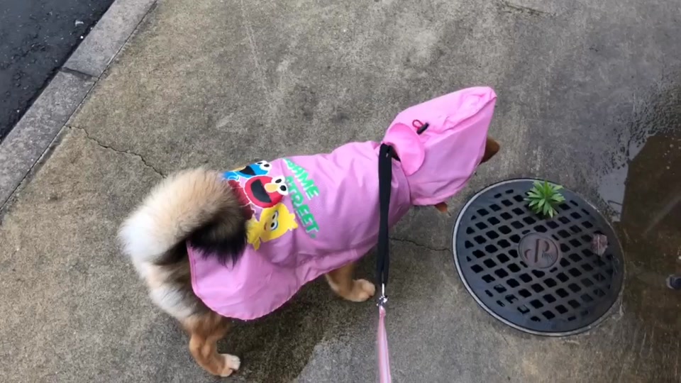 服嫌い Tiktok Hashtag
