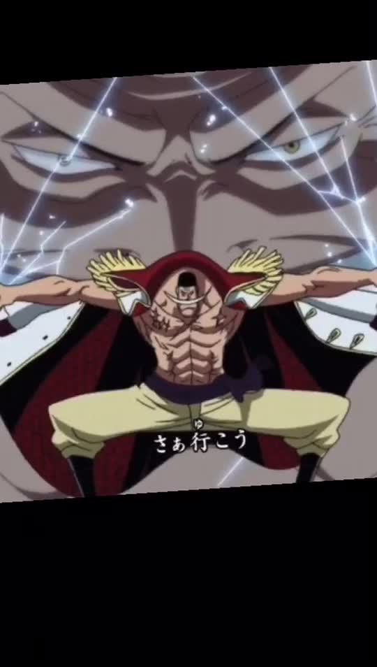 Minhkia Fan One Piece Tiktok Profile